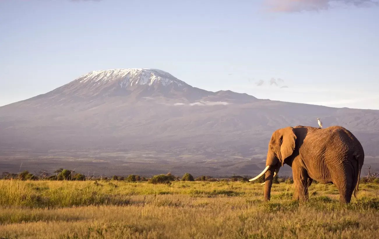 tanzania-safari