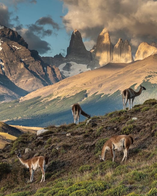 torres-del-paine-77734
