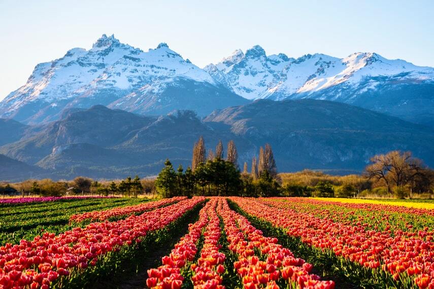 visit-argentina