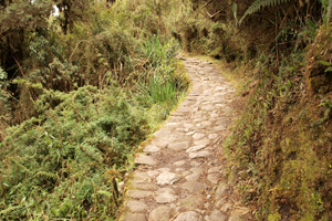 Section of the Inca Trail