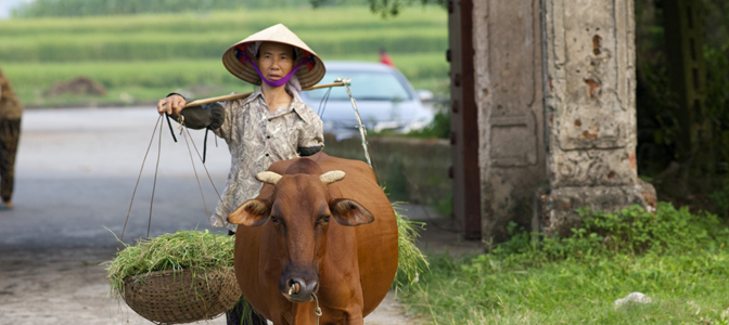 bigstock-Vietnamese-Woman-with-Water-Bu-22870931
