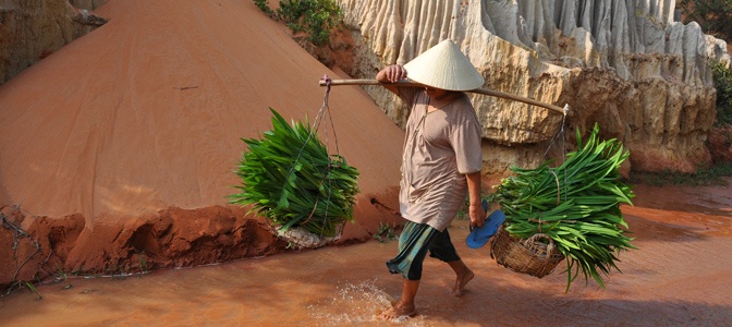 Farmer in Mui Ne